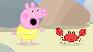 Peppa Pig Full Episodes |At The Beach