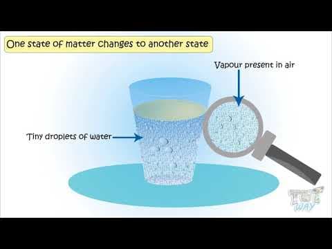 Matter-(Part-3)Phase Changes | Science