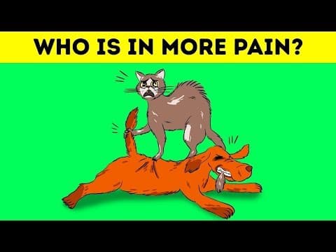 20 funny riddles that will make your day