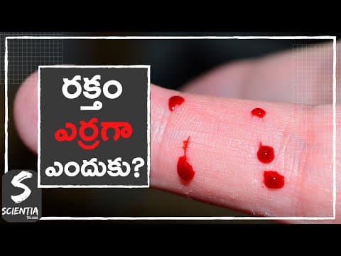 Why Blood Is Red In Color ?