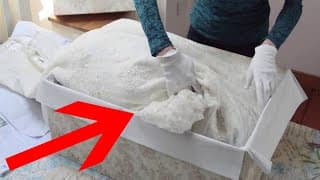 Woman Makes A Discovery In Her Grandmother’s Attic And Quickly Embarks On An Unusual Mission