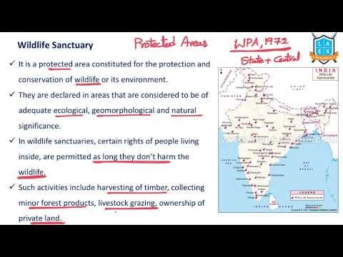 What is a Wild Life Sanctuary ? || Wild Life Sanctuary అంటే ఏమిటి?