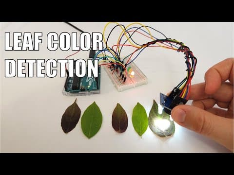 Leaf color detection with Arduino | Science Project - YouTube