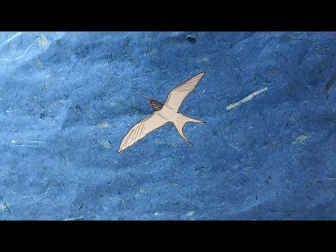 How Do Birds Know to Fly South