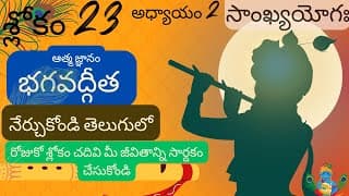 bhagavad Gita chapter 2 verse 23||sankyayoga|| భగవద్గీత 2వ అధ్యాయం శ్లోకం 23|| divine touch telugu