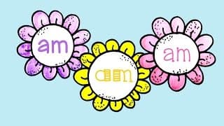 Am- Sight Word Song for the word Am