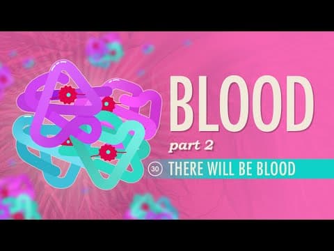 Blood, Part 2 - There Will Be Blood: Crash Course Anatomy & Physiology #30 - YouTube