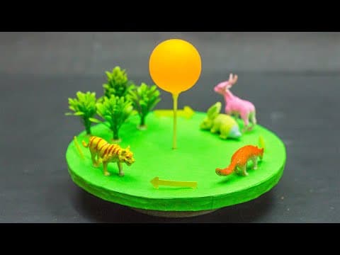 Science Projects | Food Chain Working Model