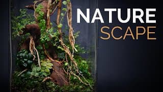 How to make a scaped nature terrarium