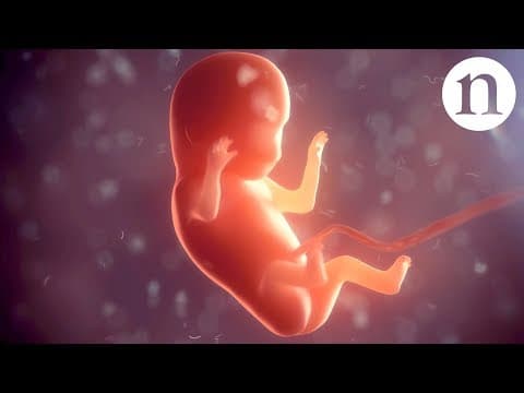 Building a baby-the first two weeks