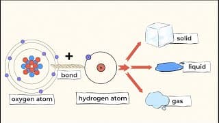 What is the smallest particle of matter The mighty Atom | MightyOwl Science