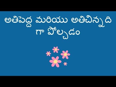 అతిపెద్ద మరియు అతిచిన్నది గా పోల్చడం - Comparing Biggest and Smallest (Telugu)