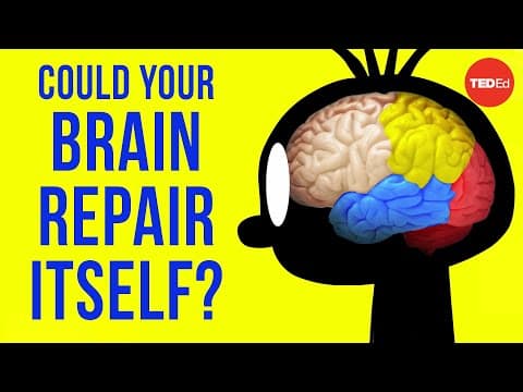 Could your brain repair itself? - Ralitsa Petrova - YouTube