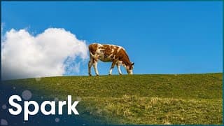 What Are We Doing To Combat Greenhouse Gases?