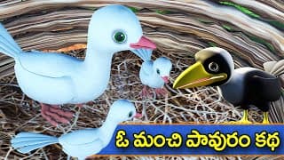 ఒక మంచి పావురం కథ || A good pigeon Telugu moral story || 3D animated Panchatantra moral stories