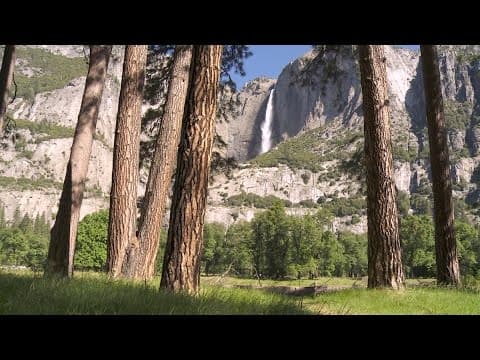 Soundscapes - Yosemite Nature Notes