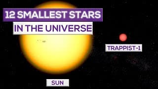 12 Smallest Stars In The Universe