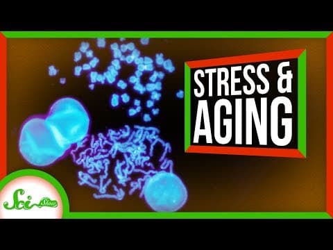 We're One Step Closer to Understanding Aging