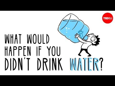 What would happen if you didn’t drink water? - Mia Nacamulli - YouTube