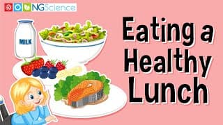 Eating a Healthy Lunch