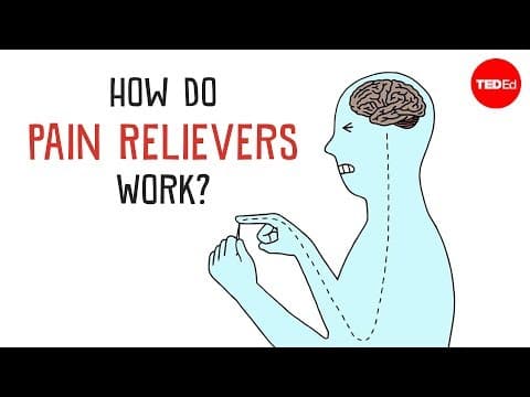 How Do Pain Relievers Work? - George Zaidan - YouTube