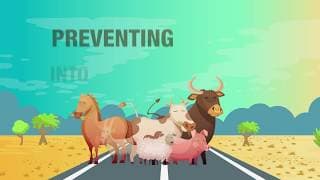 Preventing Crashes into Animals and Wildlife