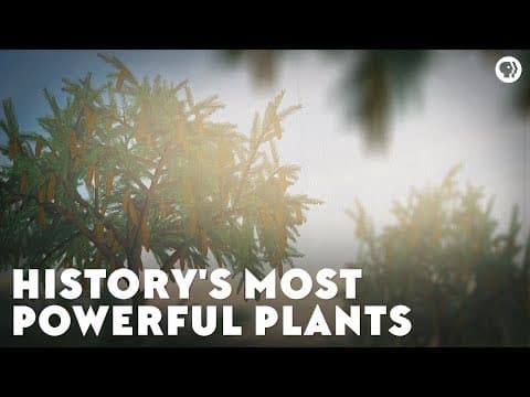 History's Most Powerful Plants