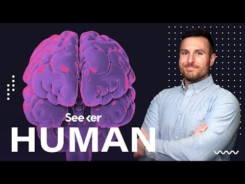 What Exactly Is the Blood Brain Barrier?