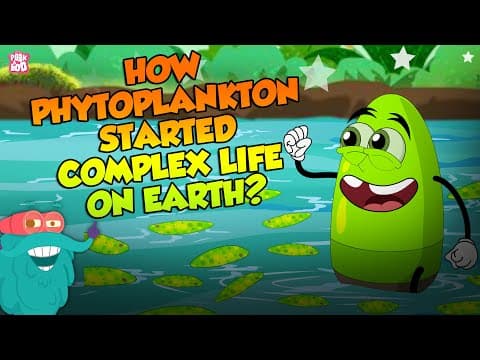 How Phytoplankton Started Complex Life On Earth? | Plankton | The Dr Binocs Show | Peekaboo Kidz - YouTube