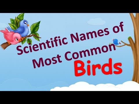 Scientific Names Of Most Common Birds ~ Learn Birds Scientific Names