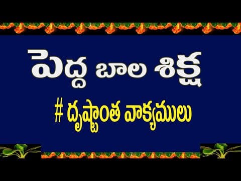 Pedda Bala Siksha Part -1| దృష్టాంత వాక్యములు | Money Mantan TV