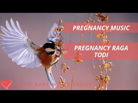 Pregnancy Music | Pregnancy Raga | Music for unborn baby | Music for brain development | Raga todi