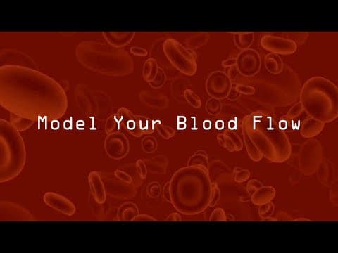 Model Your Blood Flow – STEM activity