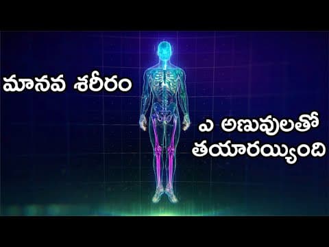 What Are Humans Made Of | Composition of the human body