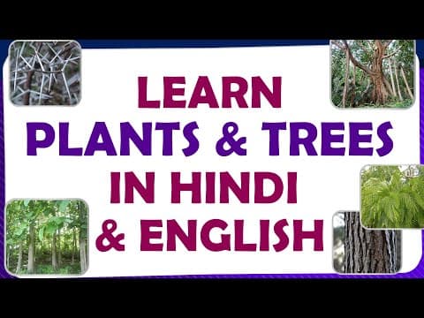 Learn plants and trees in hindi and english - spoken hindi through telugu