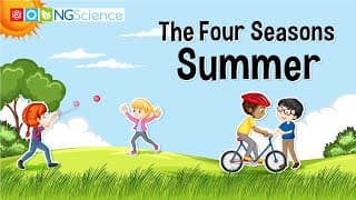 The Four Seasons – Summer