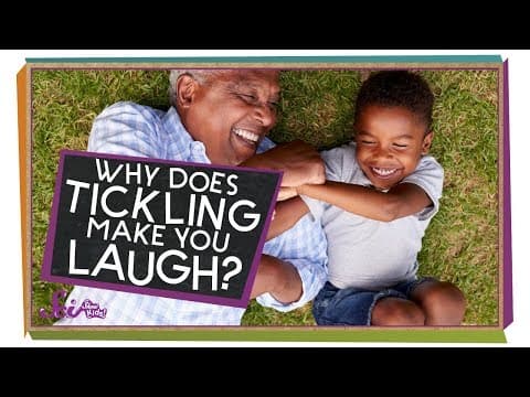Why Does Tickling Make Me Laugh?