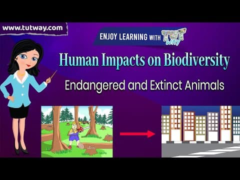 Human Impacts on Biodiversity - Endangered and Extinct Animals - Ecology Environment