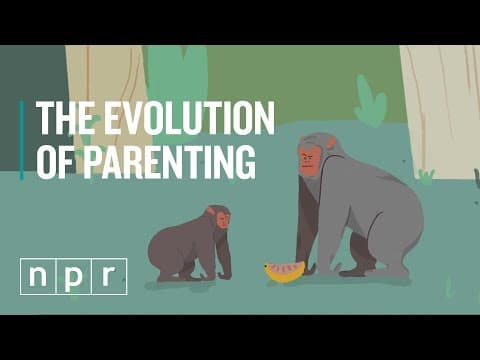 The Evolution Of Parenting | Goats & Soda | NPR