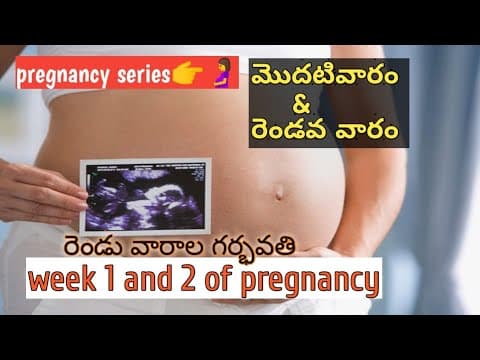 week1 and 2 of pregnancy/weekly pregnancy tips in Telugu/రెండు వారాల గర్భవతి