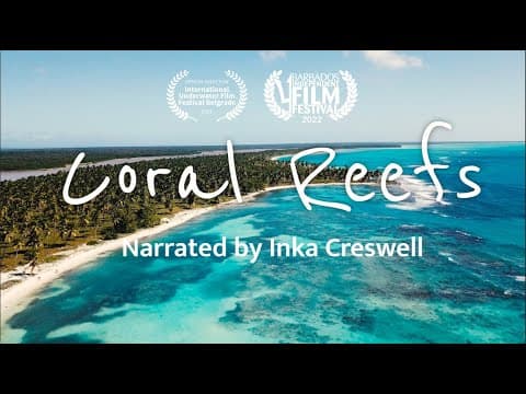 Coral Reefs: The Rainforests of the Sea - YouTube