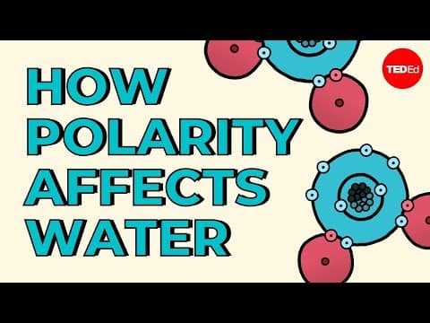 How polarity makes water behave strangely - Christina Kleinberg - YouTube