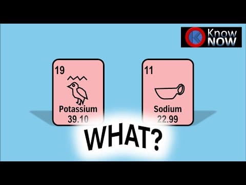 Why are Na and K called Sodium and Potassium? (16:9)