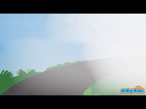 Difference between Fog and Mist - Geography for Kids | Educational Videos by Mocomi