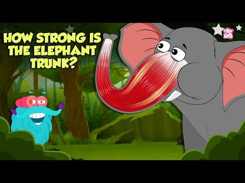 How Strong is An Elephant's Trunk? | Fascinating Facts About An Elephant's Trunk | Dr. Binocs Show