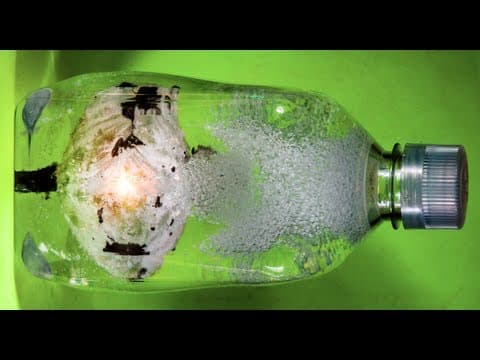 Underwater Explosions (Science with Alan Sailer!) - Smarter Every Day 63 - YouTube