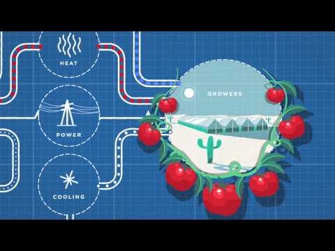 How seawater and sunlight can grow food in the desert