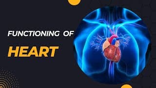 BLOOD FLOW THROUGH HEART - with flowcharts