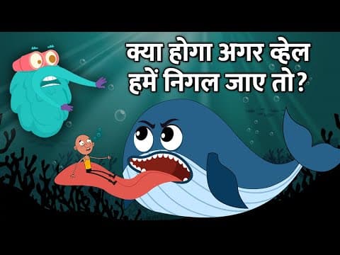 क्या होगा अगर व्हेल हमें निगल जाए तो? - What If Whale Swallows You?