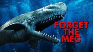 This Prehistoric Sperm Whale Was A Leviathan